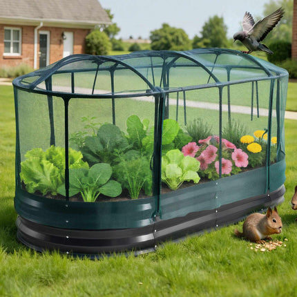 Raised Garden Bed 6x3x1 ft, Self-Watering, Mesh Cover