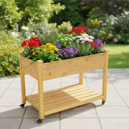 Raised Garden Bed On Wheels With Shelf, Locking Brakes