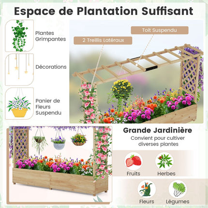 Raised Garden Bed With Trellis And Hanging Roof, 200 Cm