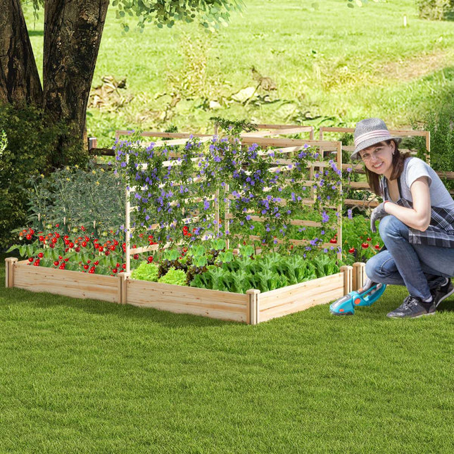 Raised Garden Bed With Trellis, Fir Wood, 222x114x110 cm