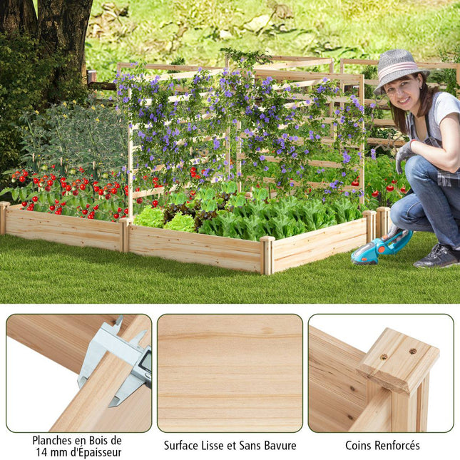 Raised Garden Bed With Trellis, Fir Wood, 222x114x110 cm