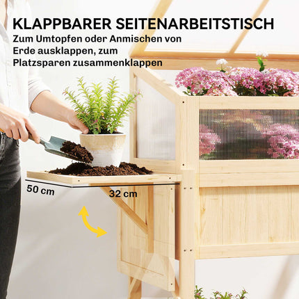 Raised Garden Bed with Cold Frame, Wood, Foldable Shelf