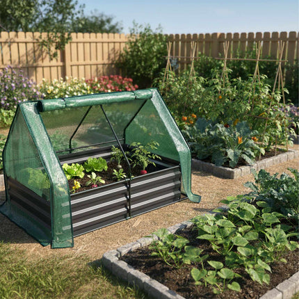 Raised Garden Bed with Greenhouse Cover