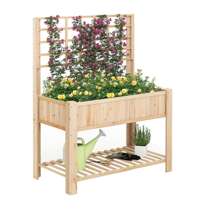 Raised Garden Bed with Trellis and Drainage, 116x59x150 cm