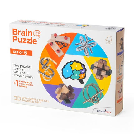 Recent Toys Brainteaser Brain Puzzle Set