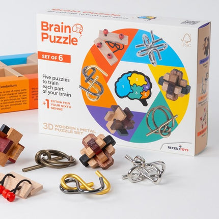 Recent Toys Brainteaser Brain Puzzle Set