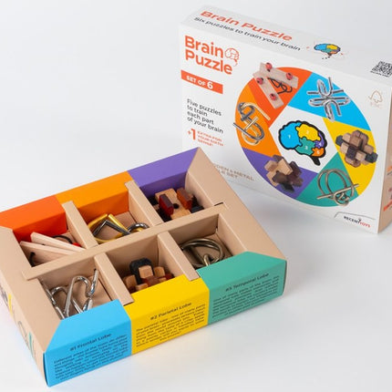Recent Toys Brainteaser Brain Puzzle Set