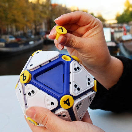 Recent Toys Logic Game Icosoku