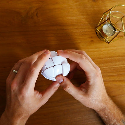 Recent Toys Logic Game Morph’S Egg
