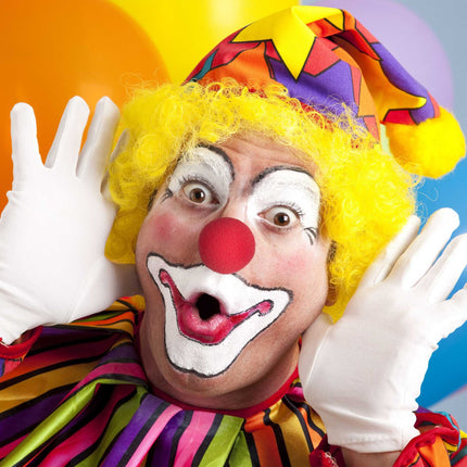 Red Clown Noses 25 Piece Set