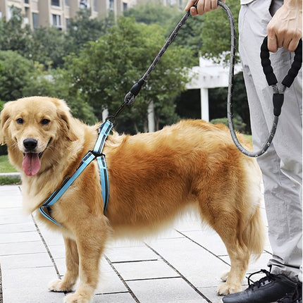 Reflective training leash 3m Purlov 21654