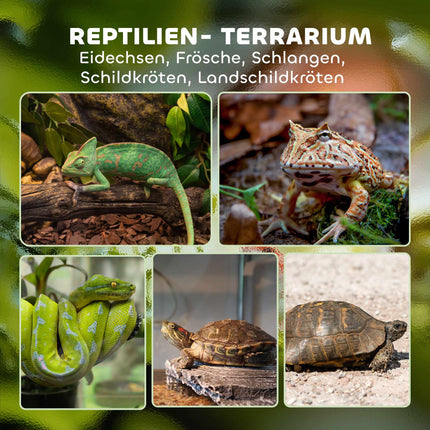 Reptile Glass Terrarium 48L, Front Ventilation, 50x30x35 cm