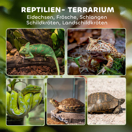 Reptile Glass Terrarium, Waterproof Base, Secure Lock