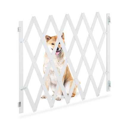 Retractable dog rail in white