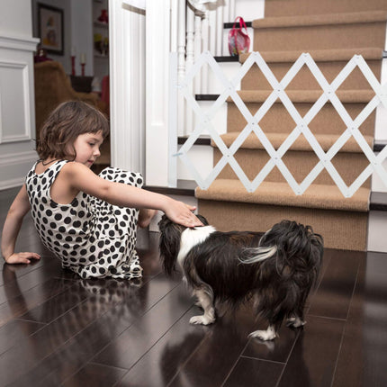 Retractable dog rail in white