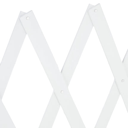 Retractable dog rail in white