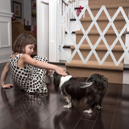 Retractable dog rail in white