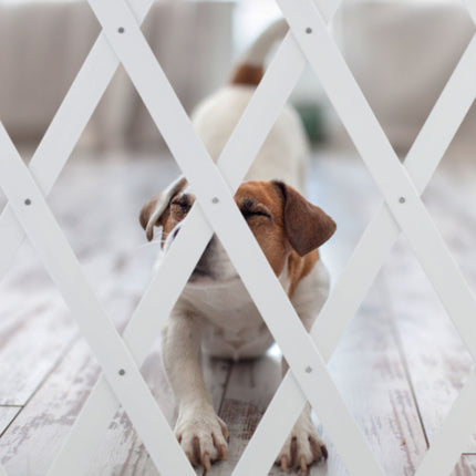 Retractable dog rail in white