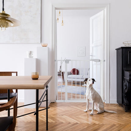 Retractable door guard without drilling