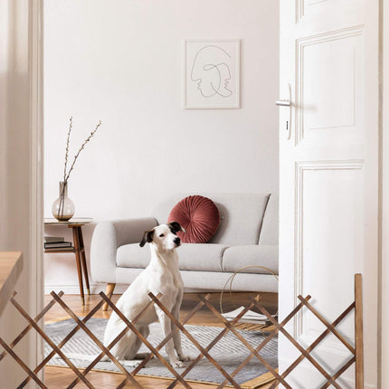 Retractable trellis natural