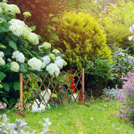 Retractable trellis natural