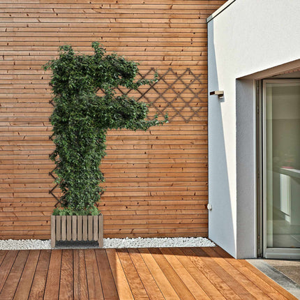 Retractable trellis set of 3