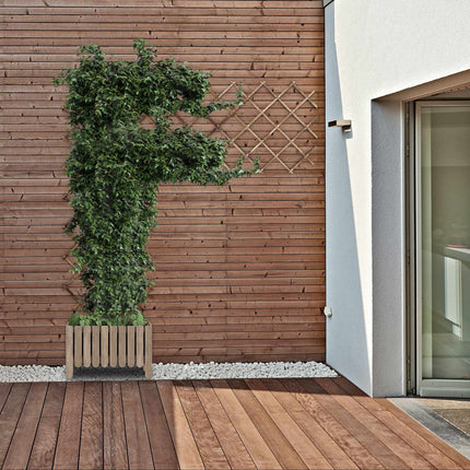 Retractable trellis set of 3