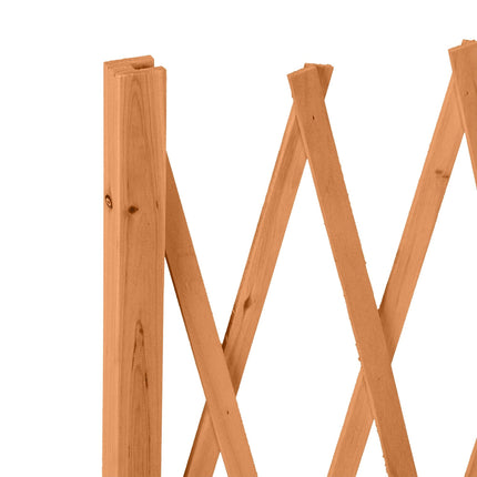 Retractable wooden trellis