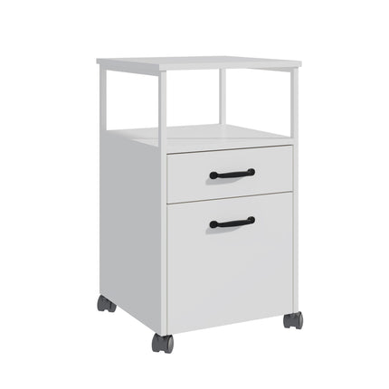 Rolling File Cabinet with 2 Drawers, Mobile Office Storage