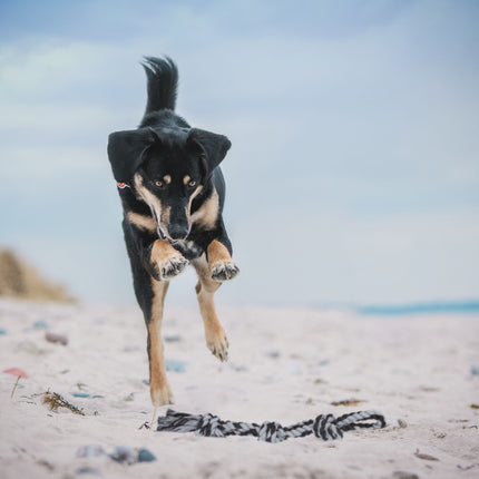 Rope for dog toys - 2 pcs
