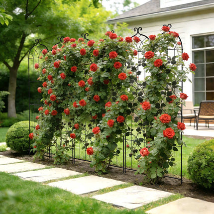 Rose Trellis 4-Pack, 220 x 52.5 cm Powder-Coated Steel