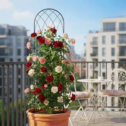 Rose Trellis Set Of 2, Metal Arched With Ground Spikes