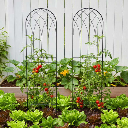 Rose Trellis Set Of 2, Metal Arched With Ground Spikes