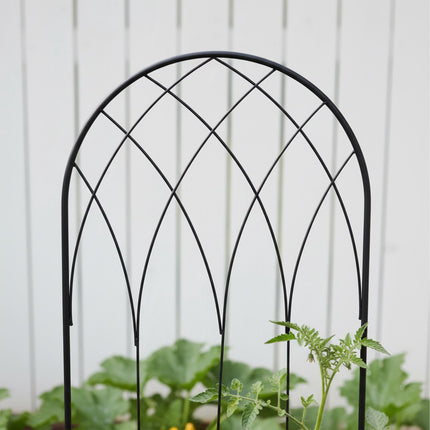 Rose Trellis Set Of 2, Metal Arched With Ground Spikes