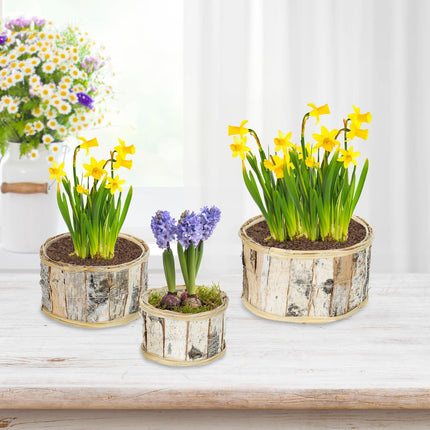 Round flower pot birch Set of 3