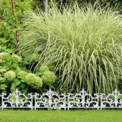 Round rolling plate for potted plants