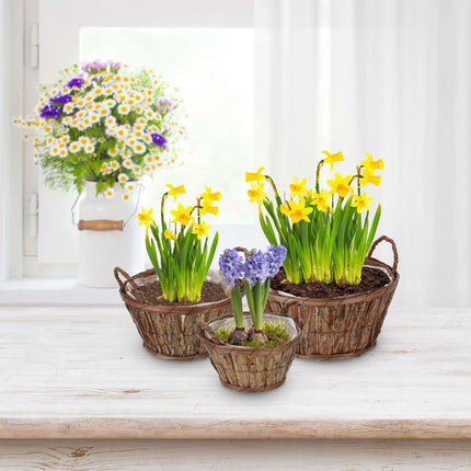Round wooden flower pot - set of 3