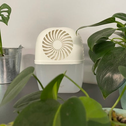 Ruhhy 22577 dehumidifier and moisture absorber