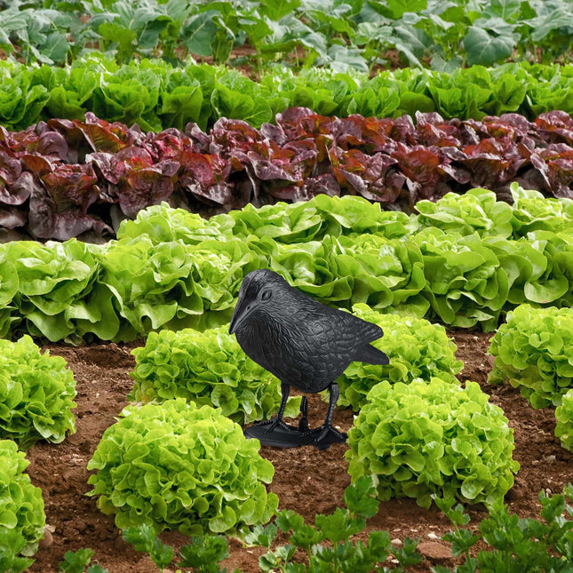 Vogelverschrikker kraai set van 4