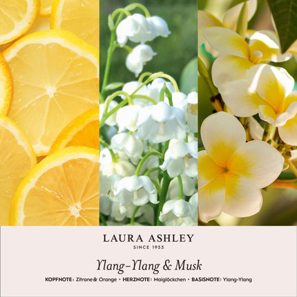 Scented Oil Gift Set – Lotus, Sandalwood, Ylang Ylang
