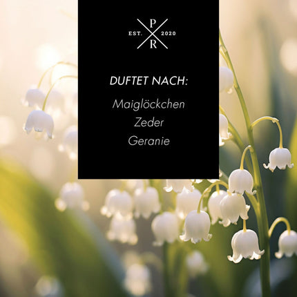 Scented Soy Wax Candle, 140-Hour Burn Time