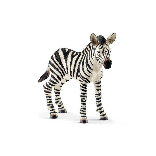 Schleich Wild Life Zebra Foal