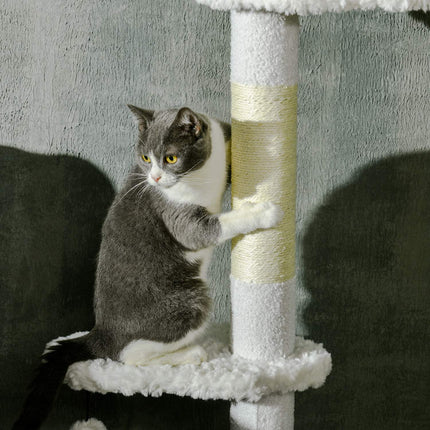 Cat tree with high ceiling with hammock and climbing ladder