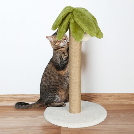 Scratching board palm