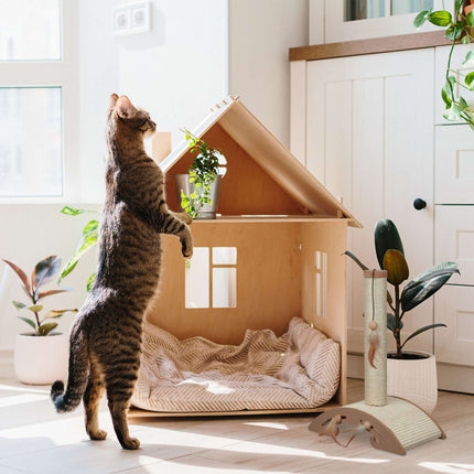 Scratching furniture with scratching board and toys