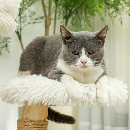 Krabpaal 61,5 cm hoge kattenkrabpaal met speelbal, bedden, kattentoren met kattenkrabplank, voor katten onder de 5 kg, perenhout, wit