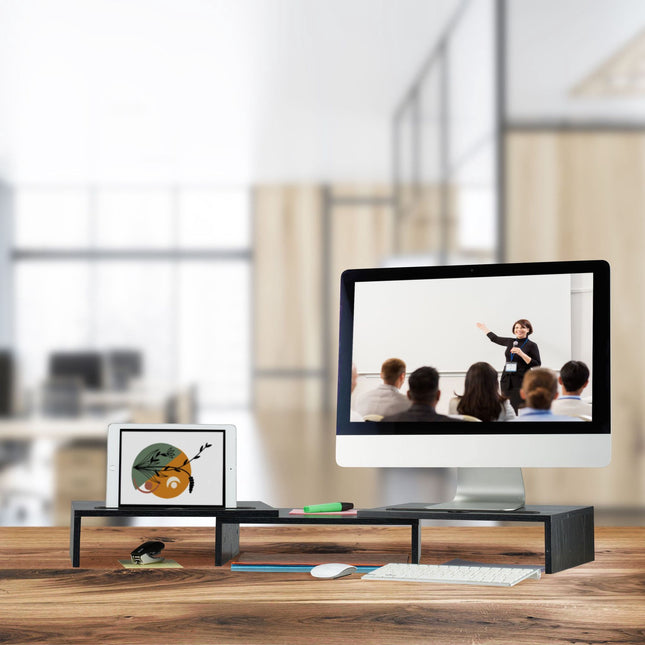 Screen stand for 2 screens