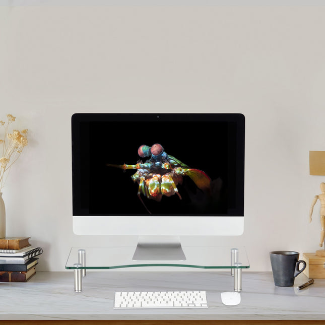 Screen stand in glass