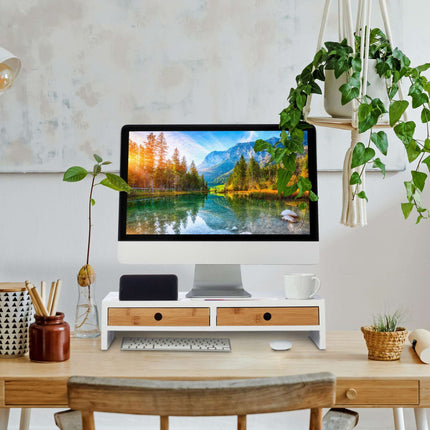 Screen stand with storage