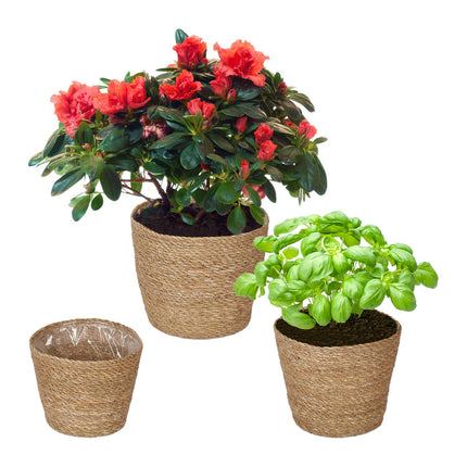 Seagrass Planters Set – 3 Indoor Wicker Flower Pots